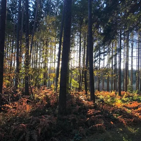 Prázdninový dům Charming In Viroinval *