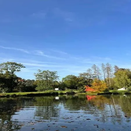 別荘 Enticing In Viroinval Near Forest