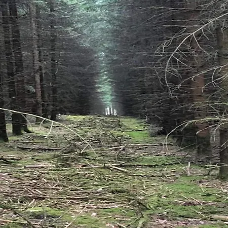 Charming In Viroinval 別荘 *