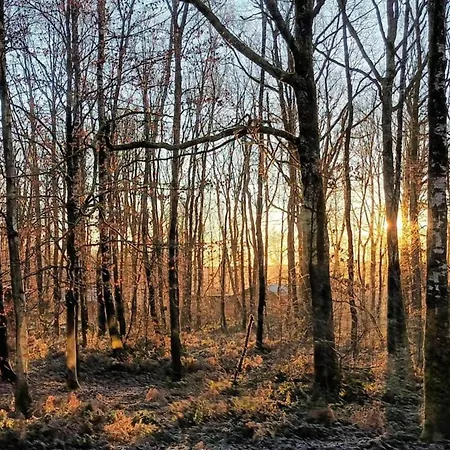 Charming In Viroinval 別荘 *