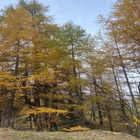 別荘 Charming In Viroinval *