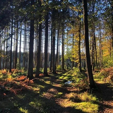 別荘 Charming In Viroinval Le Mesnil